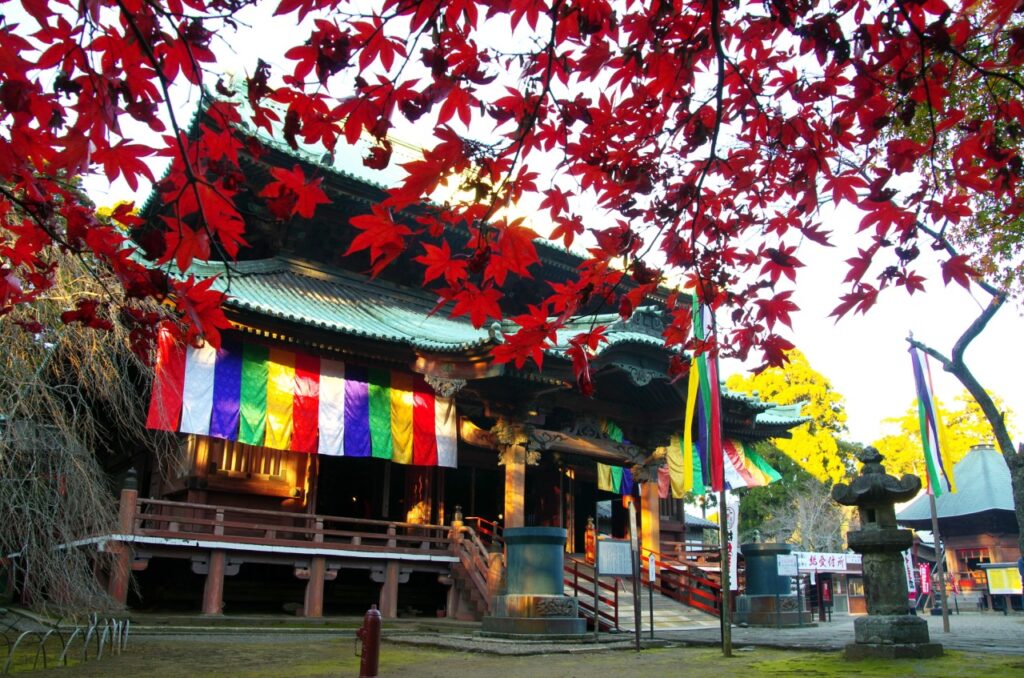 君津市の初詣スポット｜関東最古！聖徳太子が開いた鹿野山神野寺の歴史と見どころ