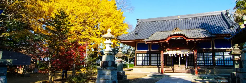 【千葉・金運】白蛇伝説が息づく！白子神社のご利益は「金運と縁結び」｜水みくじで神秘的な運試し