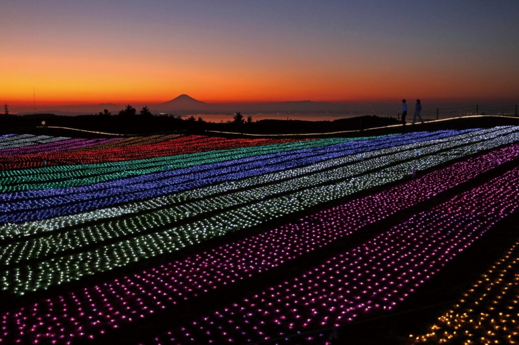 マザー牧場のイルミネーション「光の花園 2024-2025」のアクセスや見どころをご紹介！