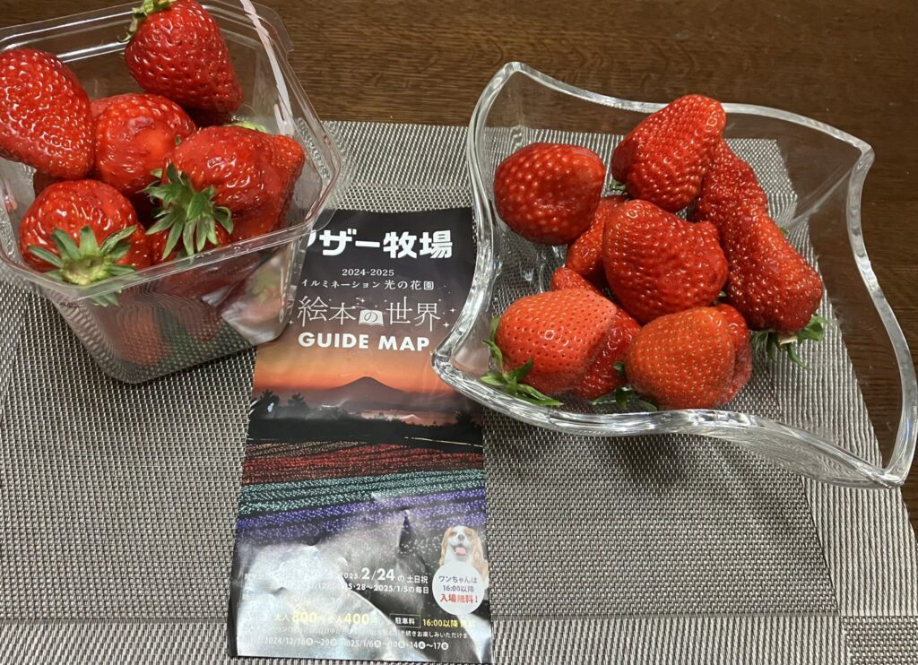【子連れ必見】マザー牧場いちご狩りに必要な持ち物は？初心者必見の予約・料金・持ち物情報も！