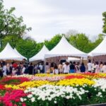 【柏の葉公園スプリングフェスタ2025】5/18のイベントステージ情報や企画、フード情報をご紹介!