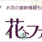 【清水公園ローズフェスタ2026】最終日5月24日に行く前の見頃・子連れ確認