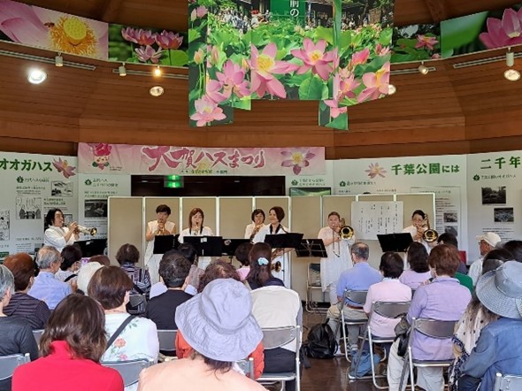 【大賀ハスまつり2026年6月20日〜28日】千葉公園で見頃と象鼻杯整理券を外さない朝の回り方