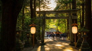 安房神社の杜で神輿が進む夏祭りのイメージ