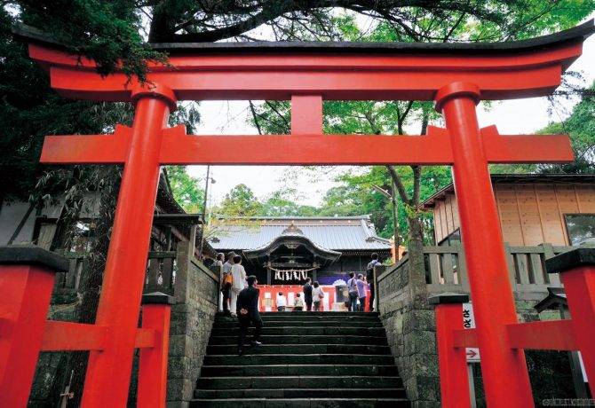 玉前神社の朱塗りの鳥居と石段。奥に社殿が建つ