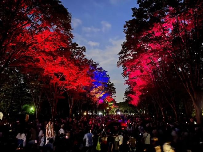 夕暮れの空がまだ青く残るなか、ケヤキ並木が赤・青の光でライトアップされ、その下に大勢の来園者が集まってスマートフォンで撮影している様子
