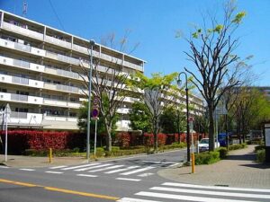 晴れた日の団地の街路。左に白い外壁の中層マンションが2棟並び、赤い葉の低い生け垣と若葉の街路樹が続く。手前は横断歩道のある広い道路で、奥に駐車中の車が見える