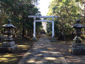 下立松原神社の参道。白い鳥居と一対の石灯籠、森の中へ続く石畳の参道