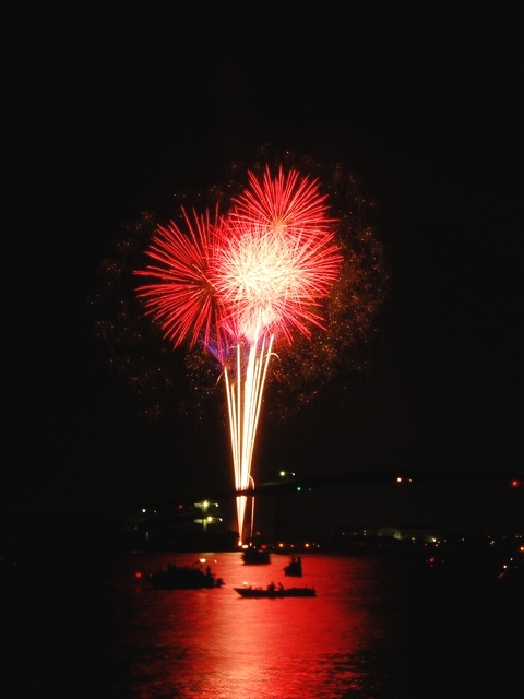 夜空に開く打ち上げ花火。白井夏祭りの花火のイメージ