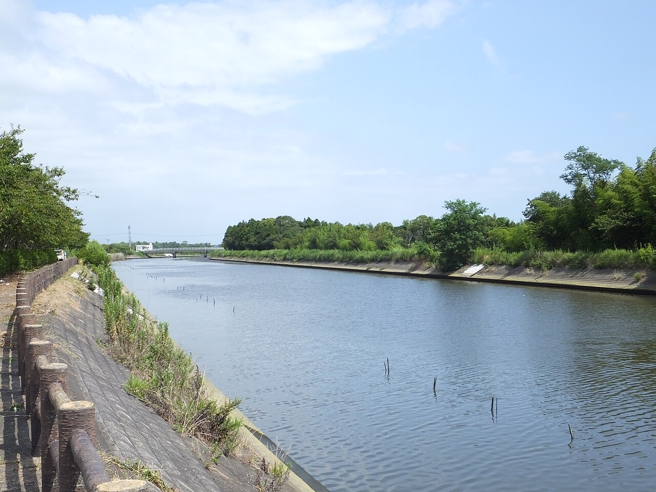 夏の南白亀川。護岸に挟まれた川面と両岸の緑
