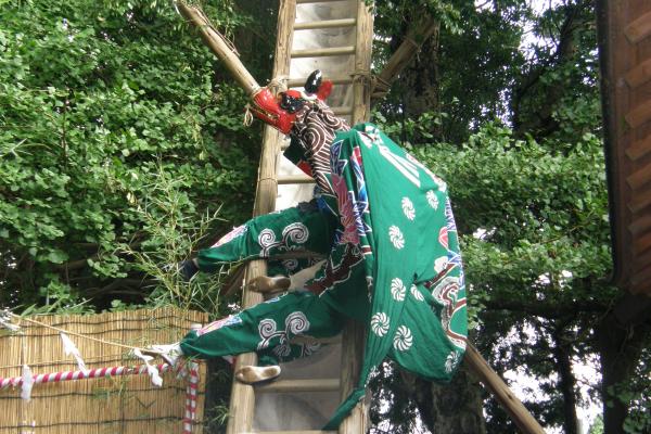 中台大宮神社の梯子獅子。御神木にかけた梯子に取りついて舞う二人立ちの獅子