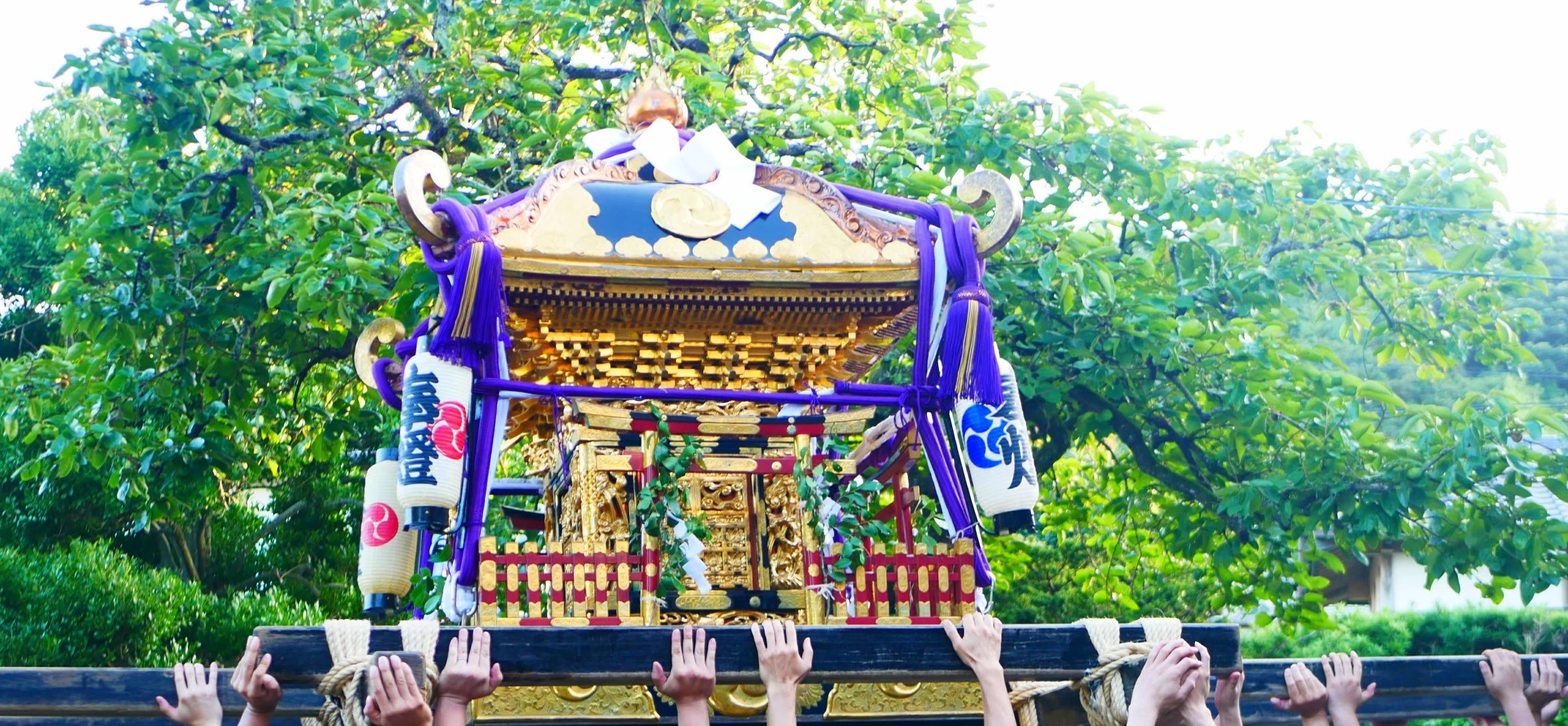 森戸の祭りで大勢の担ぎ手が金色の神輿を高く持ち上げる輿上げの様子