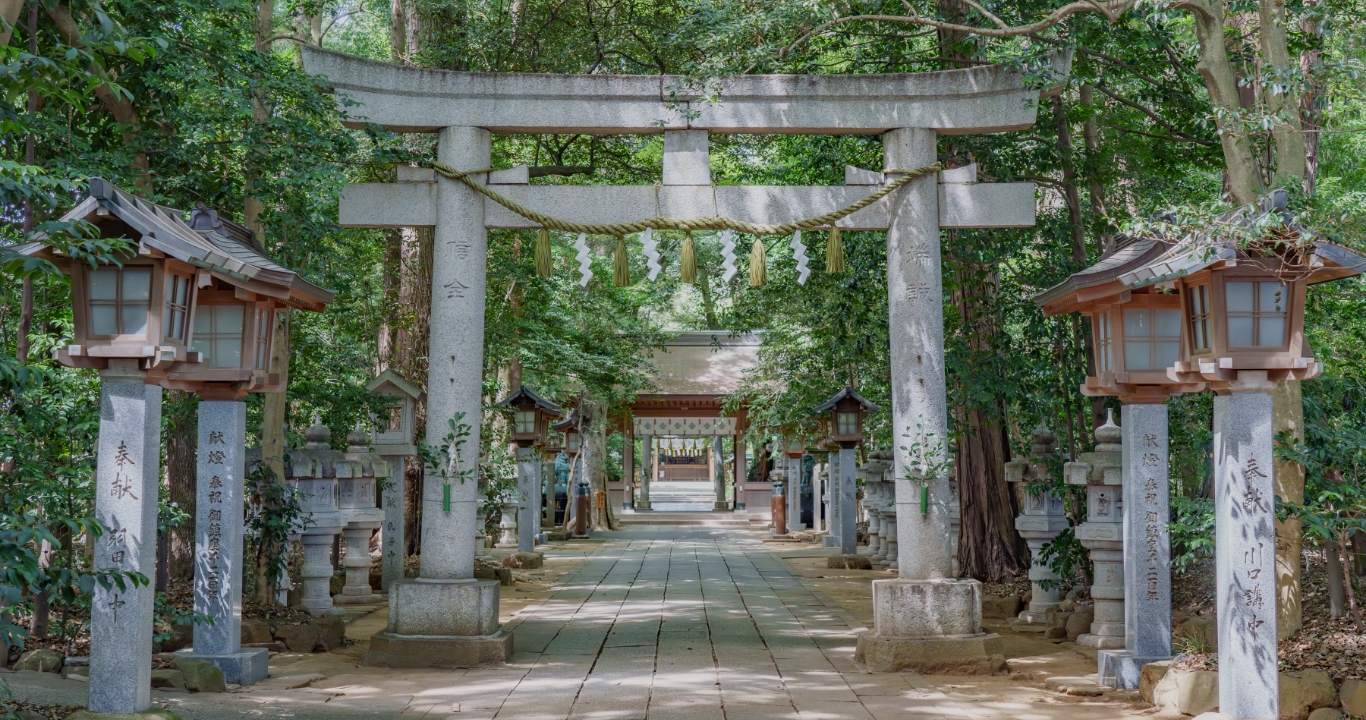 諏訪神社の石鳥居と、灯籠が並ぶ緑深い参道