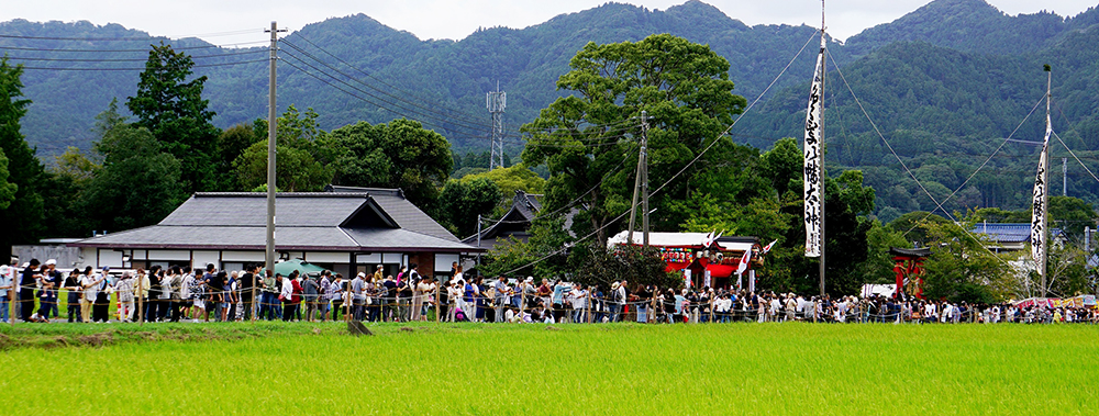 長狭平野の水田と山なみを背に、馬場沿いに並ぶ吉保八幡神社の流鏑馬の観客
