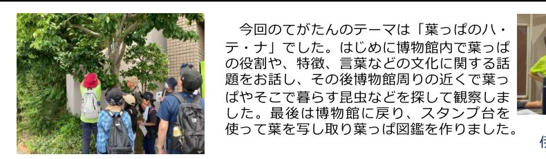 てがたんの公式レポートに載る観察の様子。屋外の木の下でリュックを背負った参加者7〜8人が輪になり、緑のスタッフベストを着た案内人の説明を聞いている。右側にはその回のテーマと進行を説明した文章が添えられている