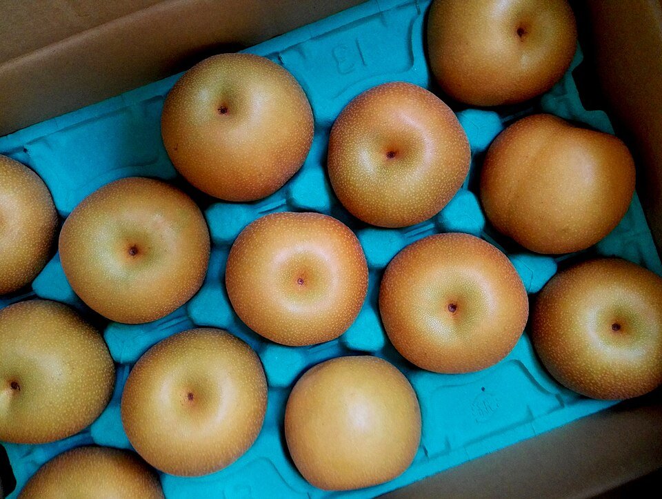 出荷用の箱に並べられた豊水の梨
