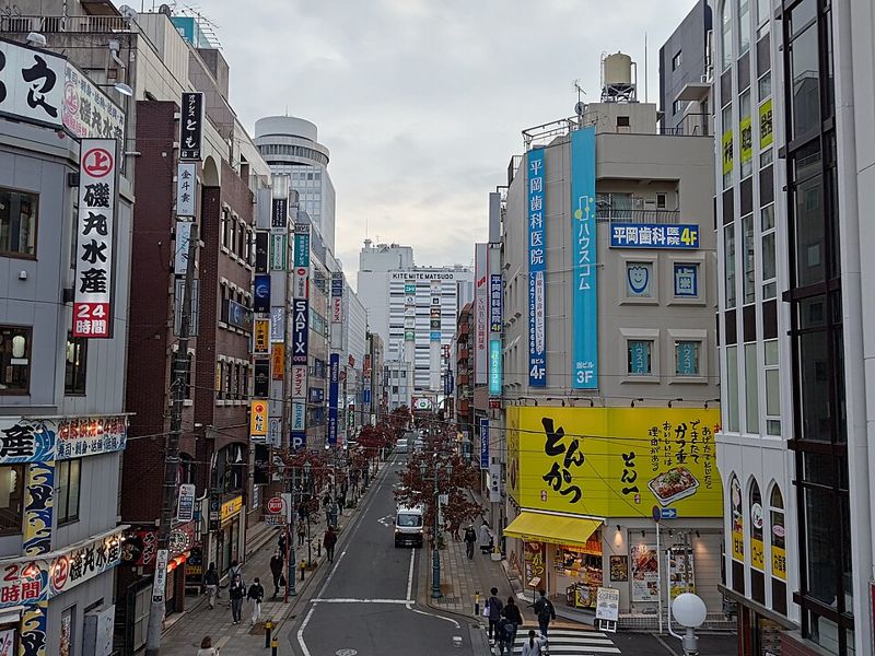 松戸駅西口デッキから見たキテミテマツド方面（出典：ウィキメディア・コモンズ CC0）