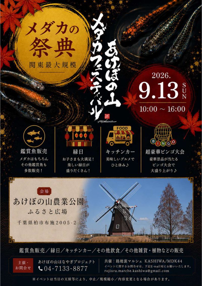 あけぼの山メダカフェスティバル2026年9月13日の告知チラシ。メダカの写真と開催日時、鑑賞魚販売・縁日・キッチンカー・ビンゴ大会の4項目が並ぶ