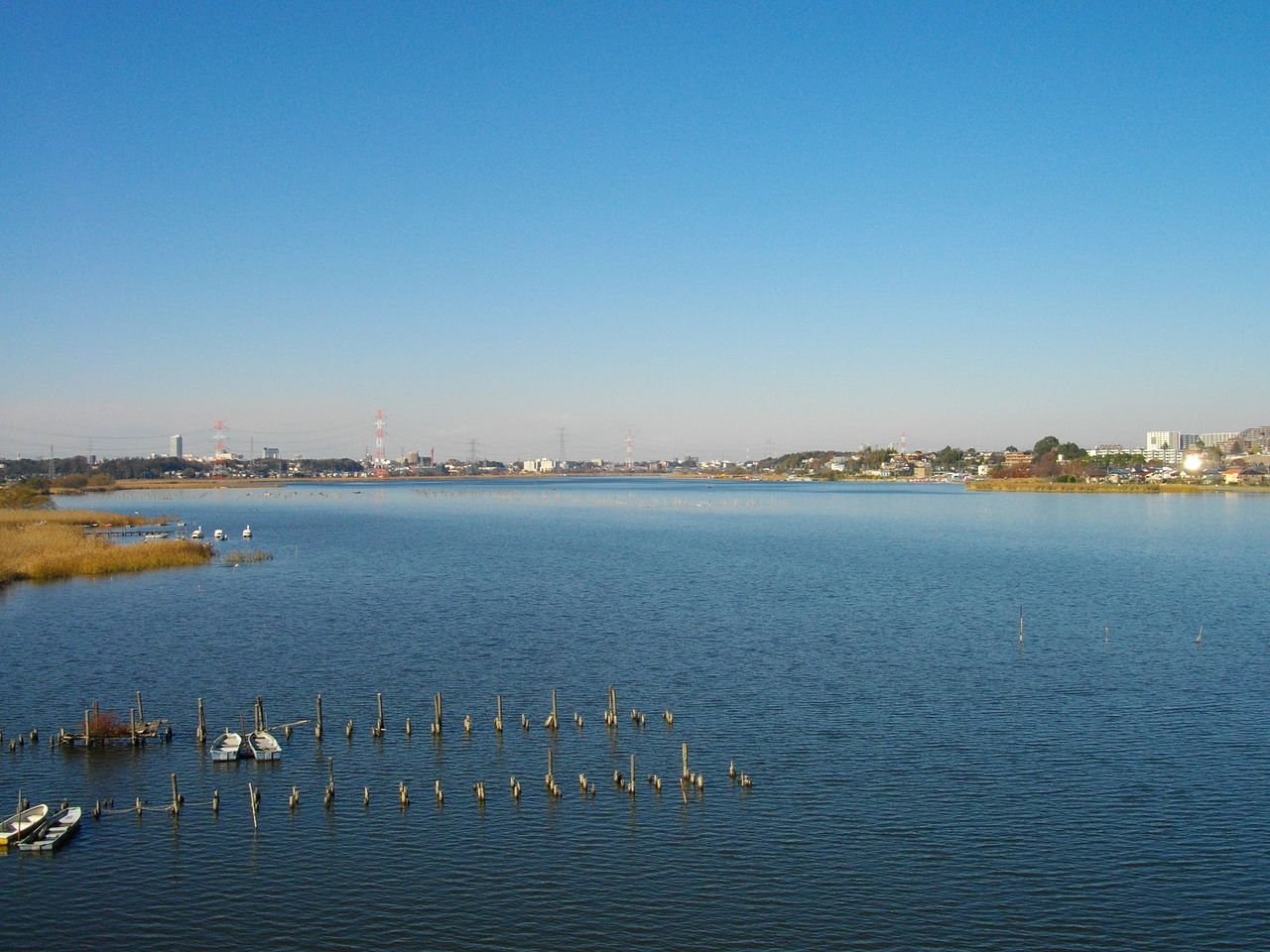 手賀沼の水面を対岸方向に望む風景。手前左に桟橋と白いボートが数艘つながれ、水面には杭が列をなす。左右の岸には枯れたヨシ原が広がり、遠景に鉄塔と住宅・マンション群が見える