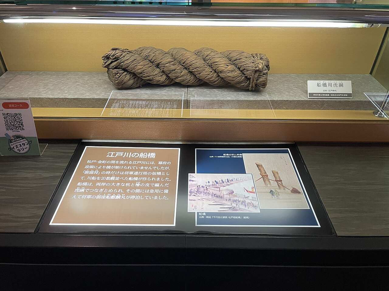 博物館の展示ケースに横たえられた太い縄。檜の皮を編んで三つ撚りにした「船橋用虎綱」で、手前の解説パネルに「江戸川の船橋」の説明文と、川船を並べた船橋の絵図・虎綱の図版が掲示されている