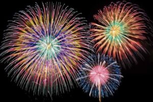 夜空に開く大輪の花火（東京ドイツ村公式イベントページ掲載画像）