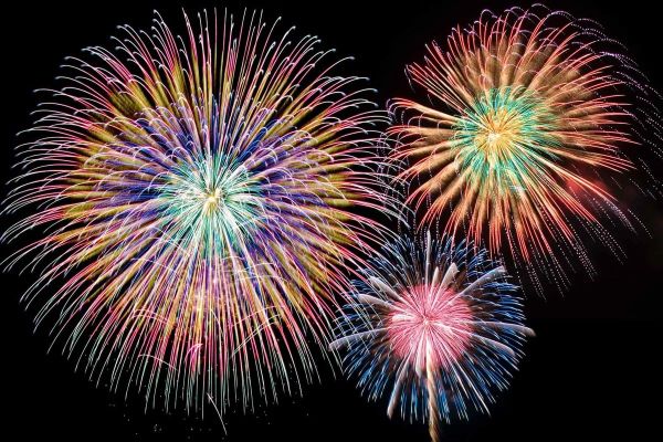 夜空に開く大輪の花火（東京ドイツ村公式イベントページ掲載画像）