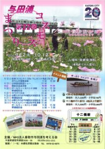 第22回与田浦コスモスまつりの公式チラシ。上半分はピンクのコスモス畑と、その奥の高架橋を走る2両編成の電車、花を摘む来場者2人。下半分にイベント日程表・舟遊びの料金・十二橋駅の時刻表が並ぶ