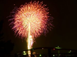夜空いっぱいに開いた赤とピンクの大輪の花火。その真下に木更津港の中の島大橋がシルエットになって横たわり、橋の照明と対岸の灯りが水面際に点々と光る。手前に観覧場所の柵