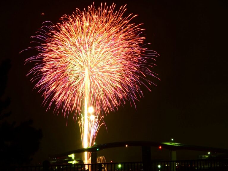 夜空いっぱいに開いた赤とピンクの大輪の花火。その真下に木更津港の中の島大橋がシルエットになって横たわり、橋の照明と対岸の灯りが水面際に点々と光る。手前に観覧場所の柵
