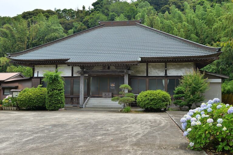 広済寺の本堂を正面から見た写真。緩やかに反った大きな瓦屋根の下に木の柱と白壁が並び、中央の階段の先に本堂の入口がある。手前は広く開けた土の広場、右手前に青紫の紫陽花、背後の斜面は一面の竹林