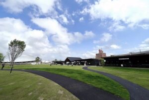 千葉公園の芝庭。手前に芝生の丘と黒い舗装の遊歩道が曲がりながら伸び、右手にスターバックスの店舗、左奥に白いドーム型の屋根が見える