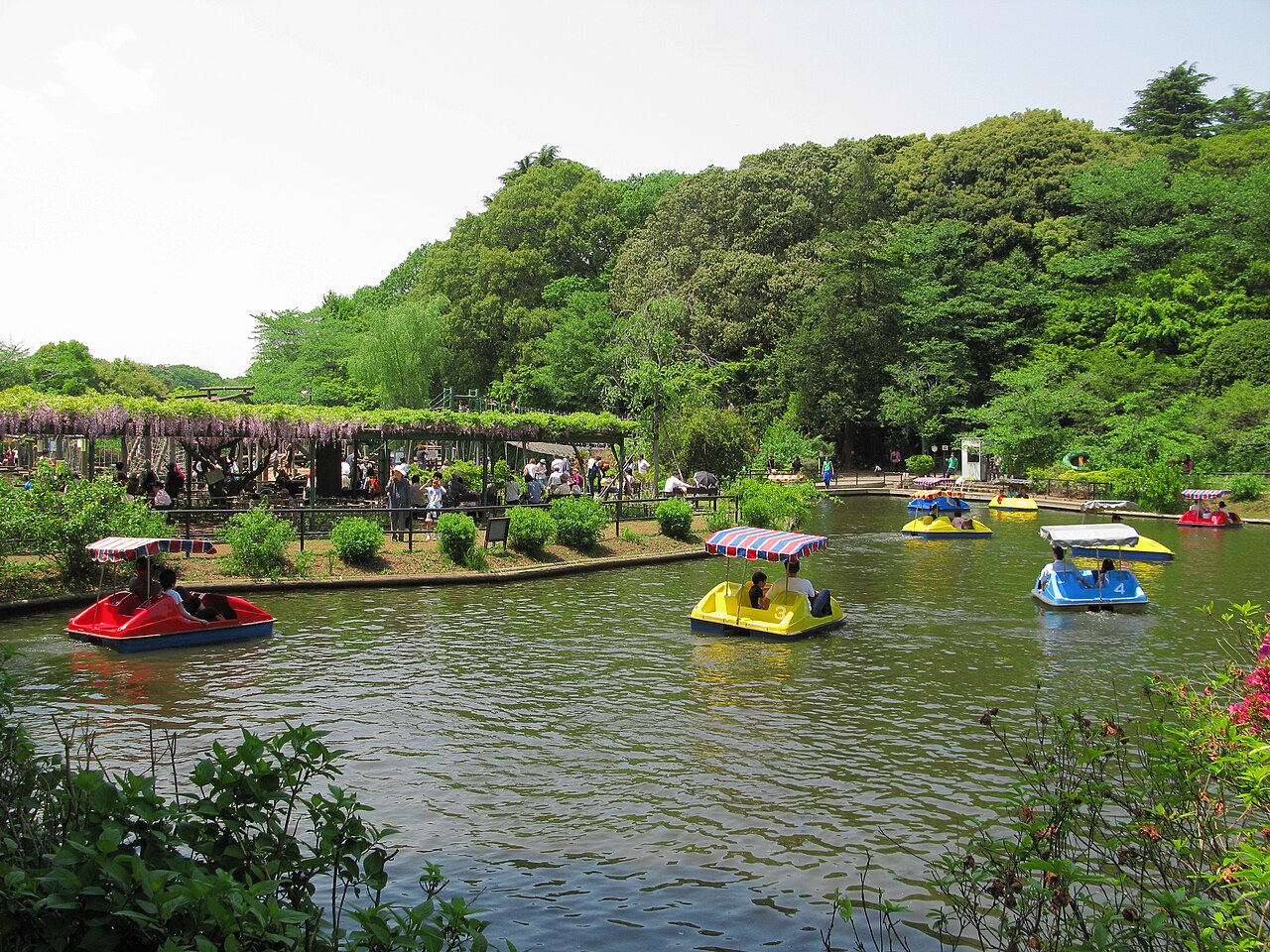 公園内のボート池。屋根付きの足こぎボートが5艘ほど浮かび、それぞれに人が乗っている。左岸には藤が垂れ下がる藤棚と休憩する人々、対岸は深い緑の斜面林