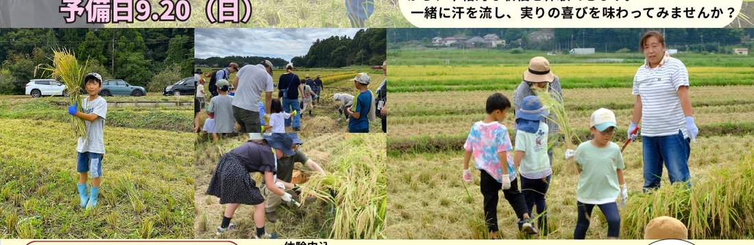 稲刈り体験の過去回の様子。長靴と帽子の子どもたちが稲の束を運んでいる