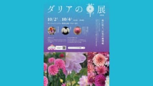 ダリアの華展2026の告知ビジュアル