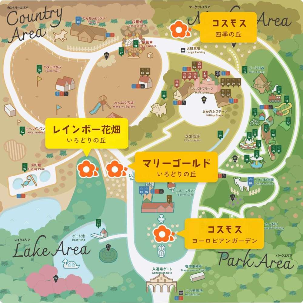 東京ドイツ村の秋の花畑マップ。カントリーエリアのいろどりの丘にレインボー花畑とマリーゴールド、マーケットエリア側の四季の丘とレイクエリア側のヨーロピアンガーデンにコスモス