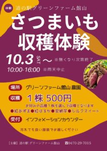 道の駅グリーンファーム館山のさつまいも収穫体験のチラシ。10月3日から10時〜16時、雨天中止、1株500円で紅あずま・紅はるか・安納芋・シルクスイートから1株を選んで収穫すると書かれている
