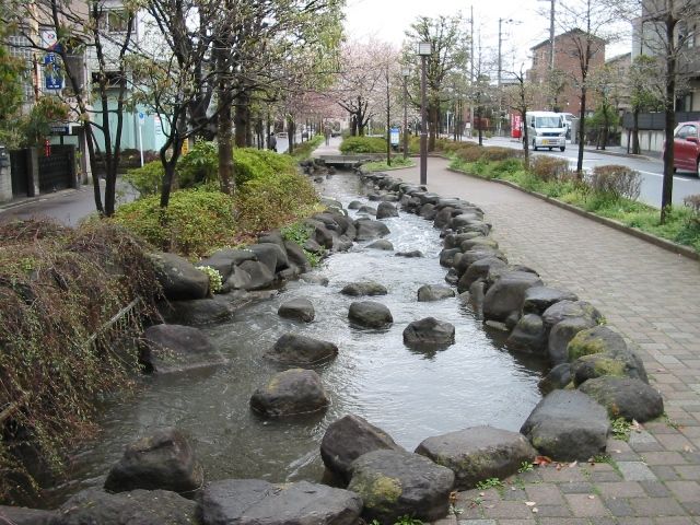一之江境川親水公園の流れ。石を組んだ護岸と飛び石が続き、右手に石畳の遊歩道と桜並木が伸びる