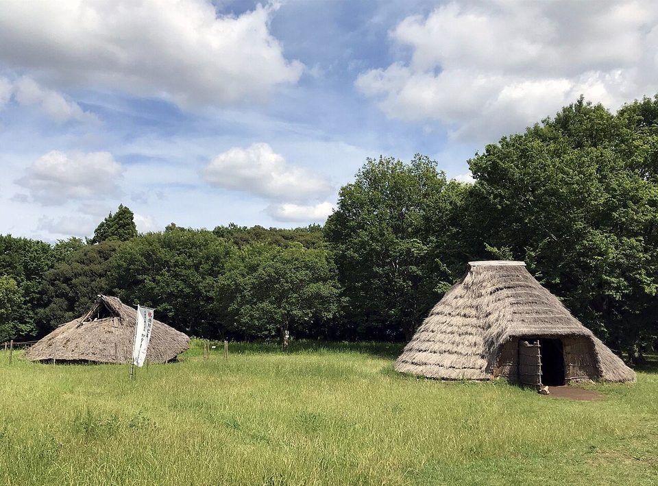 復元された縄文時代の竪穴住居。草地の中に、茅で覆われた円錐形の屋根の住居が2棟建ち、奥は雑木林になっている