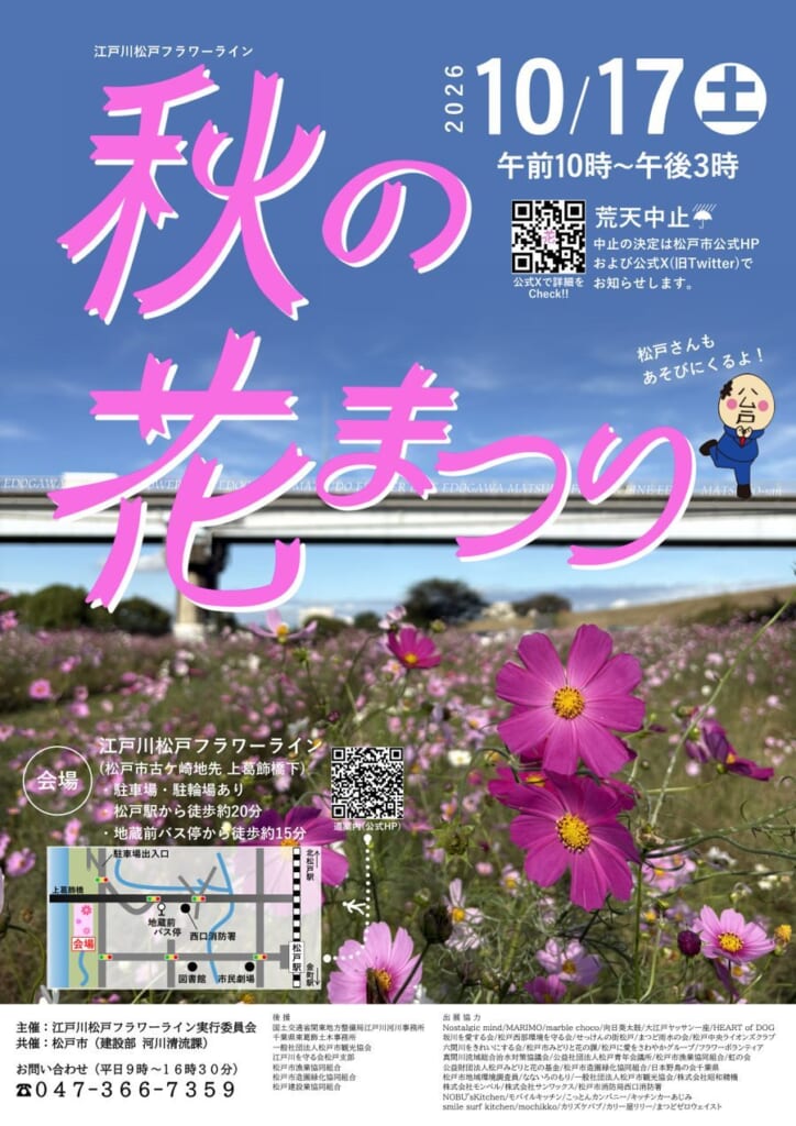 江戸川松戸フラワーライン「秋の花まつり」2026のチラシ表面。ピンクのコスモスが咲く河川敷と上葛飾橋の写真に、ピンクの大きな文字で「秋の花まつり」、2026年10月17日（土）午前10時〜午後3時、荒天中止と書かれている。右側に松戸市のキャラクター松戸さん、下に会場までの地図と主催・後援・出展協力団体の一覧がある