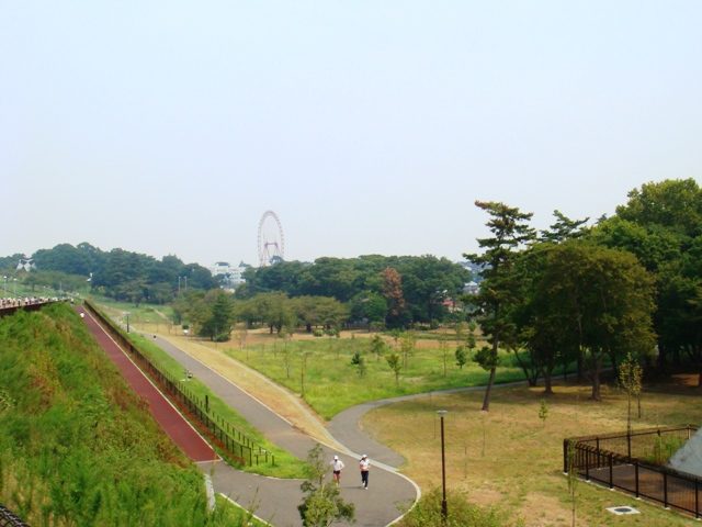 東大和市の狭山公園から狭山丘陵を望む