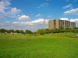 尾久の原公園のはらっぱ