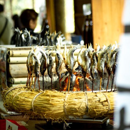 炭火で焼く鮎の塩焼き
