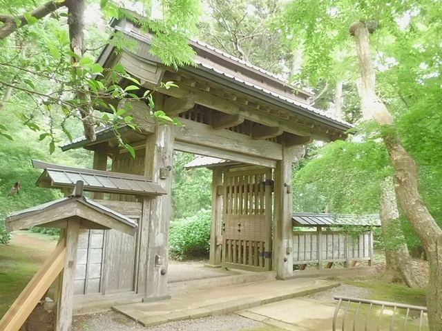 飯高寺の総門。木立に囲まれた木造の門と、両脇に続く板塀が参道の入口に立っている