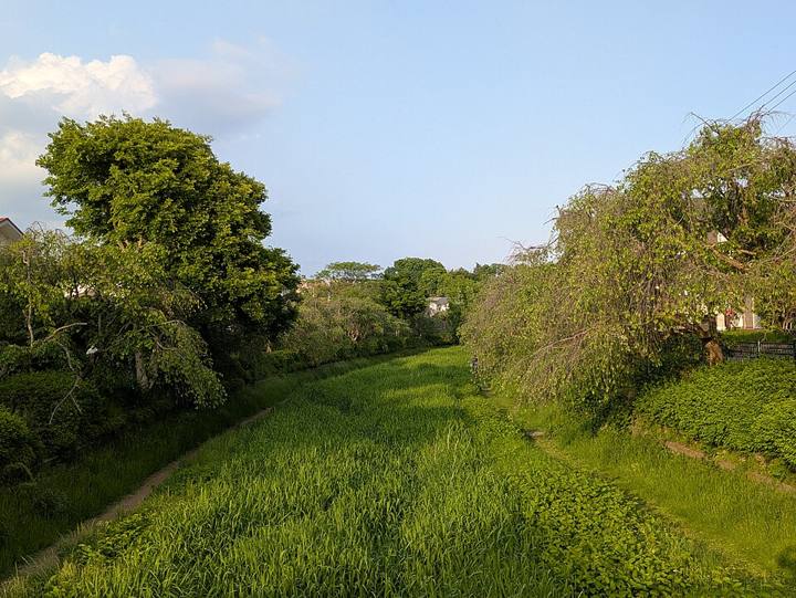 小金井市中町付近を流れる野川