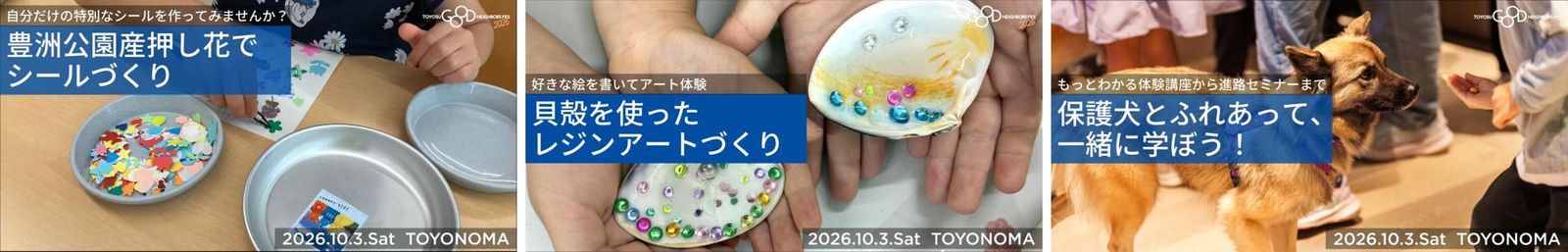豊洲公園産押し花のシールづくり、貝殻を使ったレジンアート、保護犬とのふれあいの告知画像