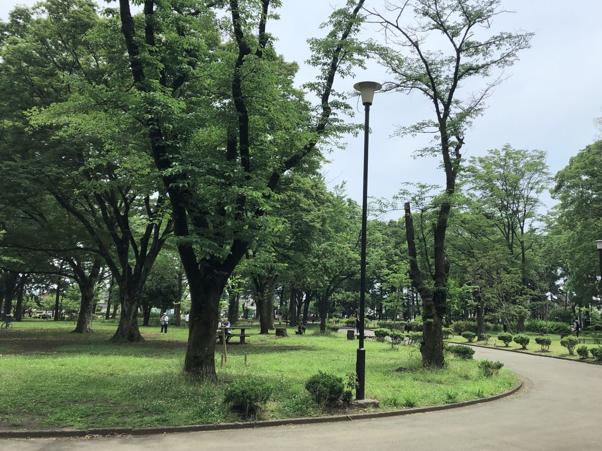 会場のわかぐさ公園。大きな木と芝生の間を園路が通る