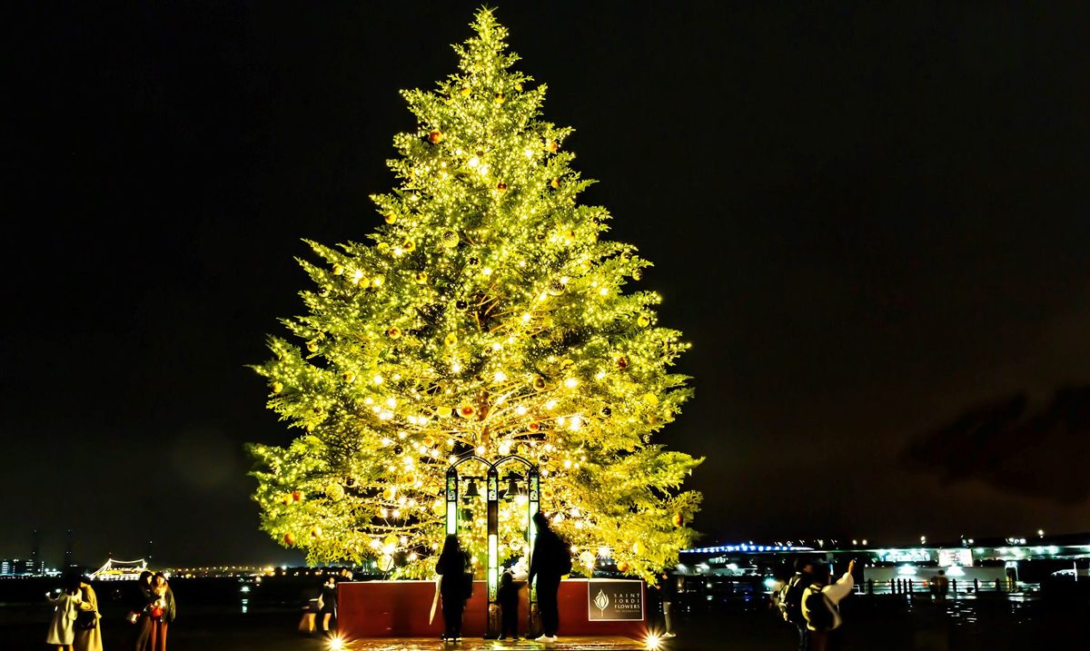 夜の横浜赤レンガ倉庫の広場に立つ、電球で飾られた大きなクリスマスツリー