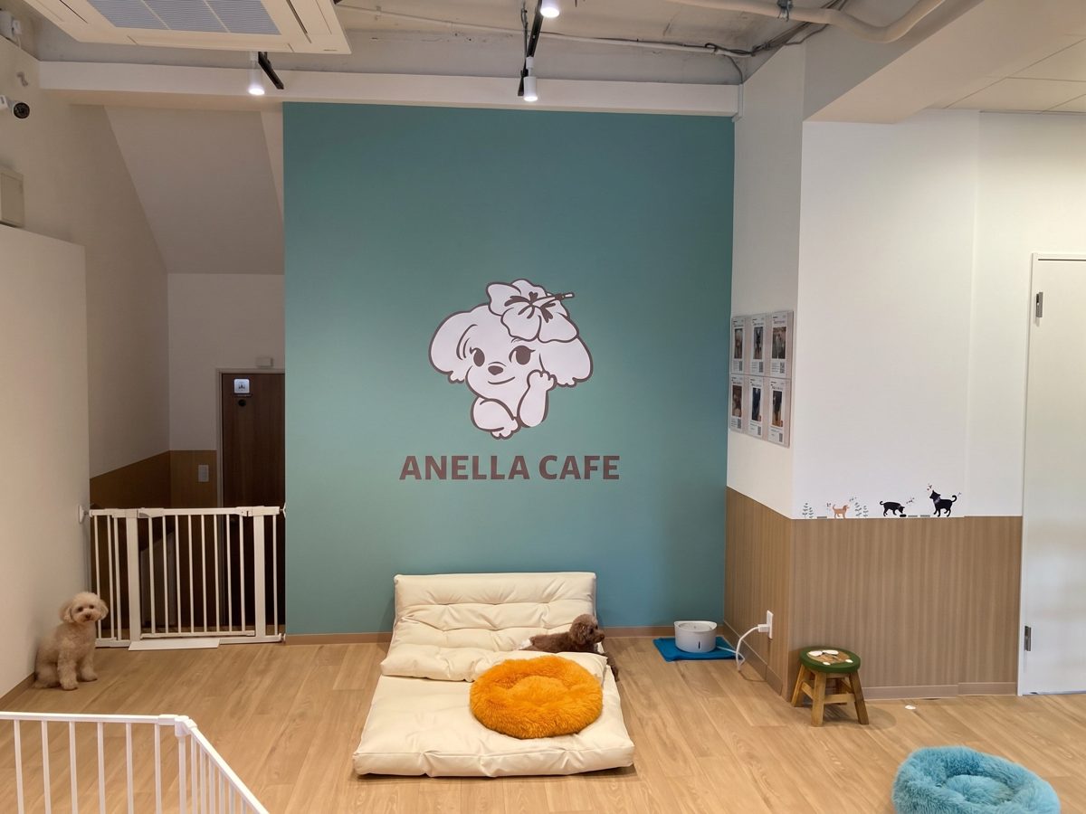 水色の壁にANELLA CAFEのロゴ、木目の床にクッションと犬用ベッド、柵の奥に小型犬