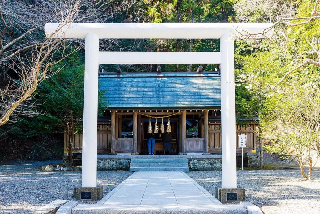 安房神社の白い神明鳥居の先に、緑青色の屋根の拝殿が見える