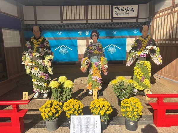 「べらぼう」の看板と耕書堂ののれんを背に、菊の花を着物にした菊人形3体と黄色い菊の鉢